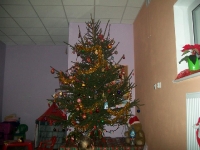 Akcja choinka :)_12