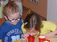 Elementy sensoplastyki_1