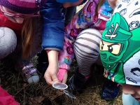 Grupa Króla Maciusia 1 - obserwacje_10