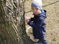 Grupa Króla Maciusia 1 - obserwacje_2