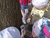 Grupa Króla Maciusia 1 - obserwacje_3