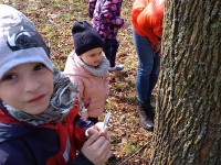 Grupa Króla Maciusia 1 - obserwacje_8