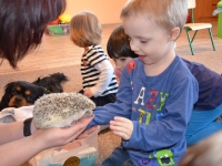 Jeż w przedszkolu_12