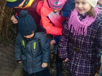 Szukanie Zajączka :)_12