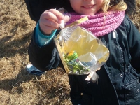 Szukanie Zajączka :)_13