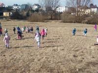 Szukanie Zajączka :)_9