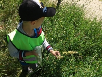 Zajęcia w terenie_26