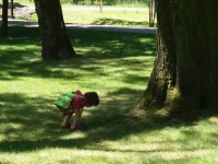 Zajęcia w terenie_8