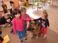 Dogoterapia_18
