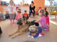 Dogoterapia_9