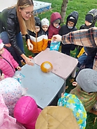 Dyniowy eksperyment 2022_3