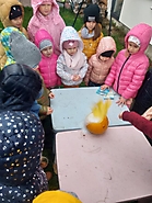 Dyniowy eksperyment 2022_5