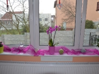 Dzień Babci i Dziadka_3