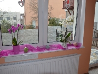 Dzień Babci i Dziadka_4