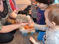 Jeż w przedszkolu_11