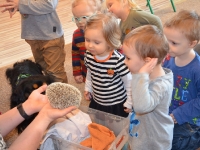 Jeż w przedszkolu_8