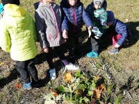 Korzystamy z cudownej pogody - grupa Felki_2