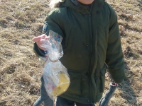 Szukanie Zajączka :)_2