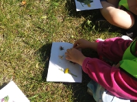 Zajęcia w terenie_32