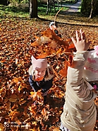 Złota jesień 2020_3